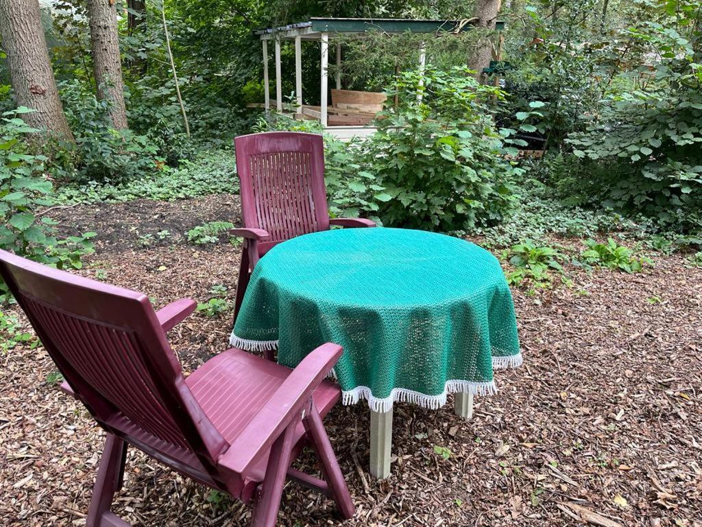 Huisje In Het Bos Zuidlaren Exterior foto